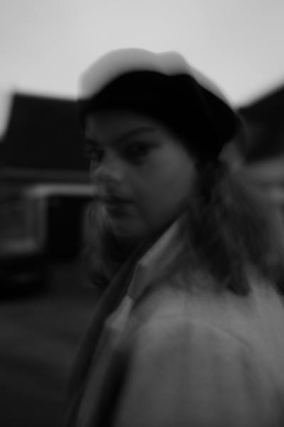 Image module