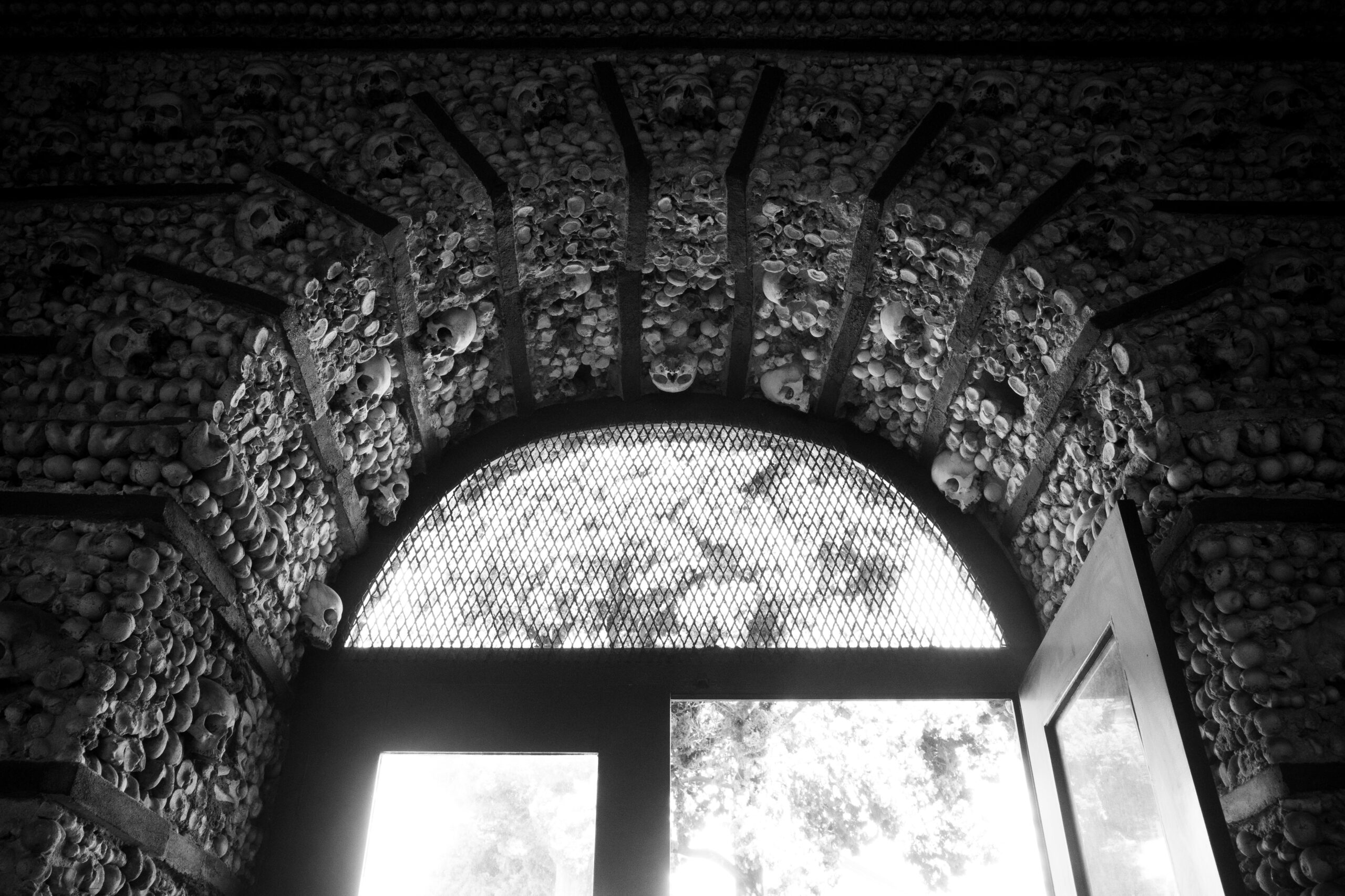 Image module